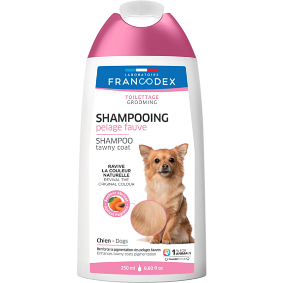 Shampooing chien pelage fauve 250ml