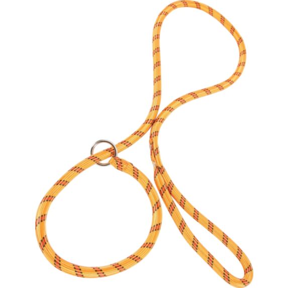 Laisse chien Corde Lasso L.1,80m Orange - ZOLUX