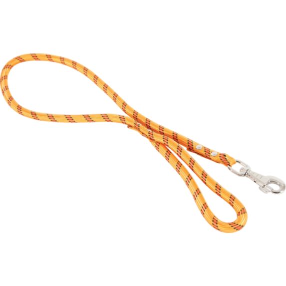 Laisse chien Candy motif Tête de Bouldogue Turquoise - ZOLUX