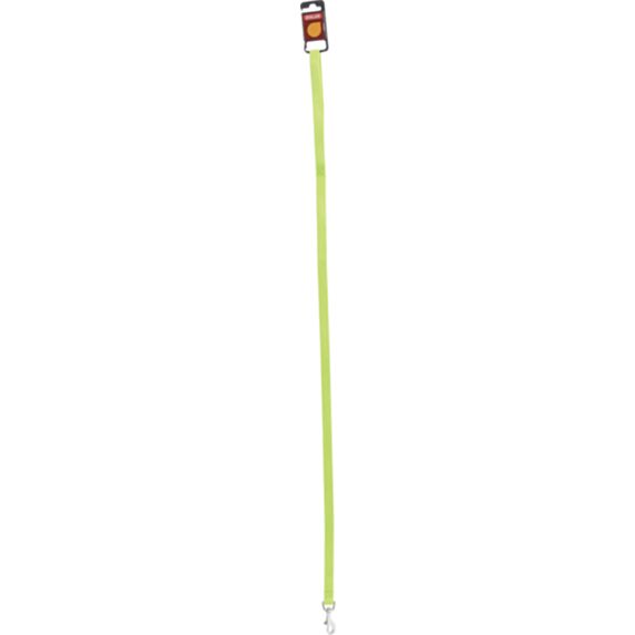 Laisse nylon 1 m x 10 mm anis - ZOLUX