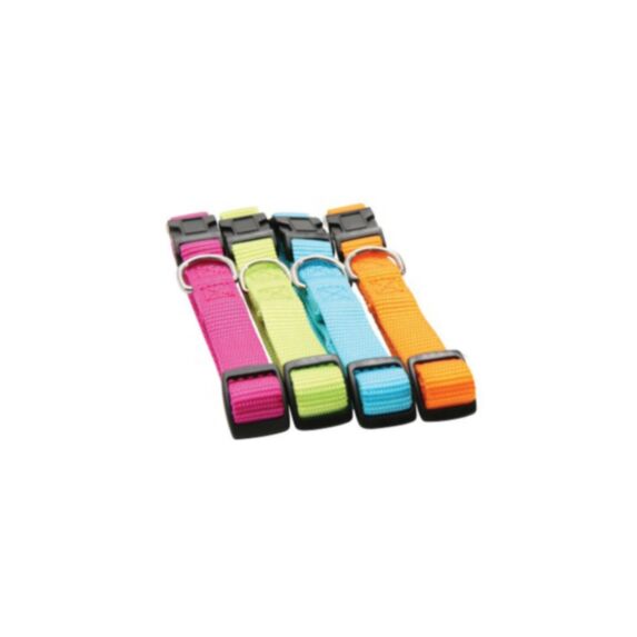 Collier nylon réglable 25 mm turquoise - ZOLUX