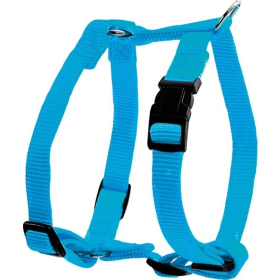 Harnais nylon réglable 15 mm turquoise - ZOLUX