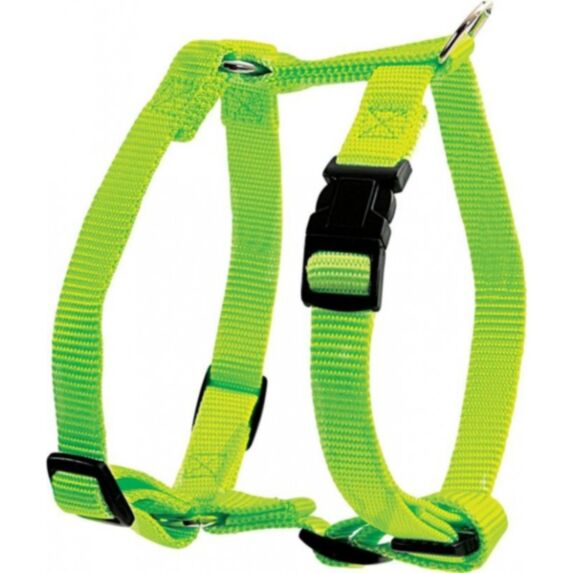 Harnais nylon réglable 20 mm anis - ZOLUX