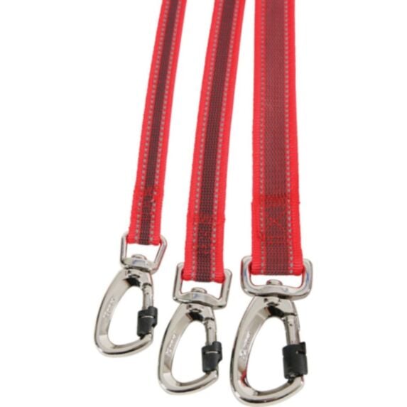 Laisse pour chien 15 mm Moov rouge - ZOLUX
