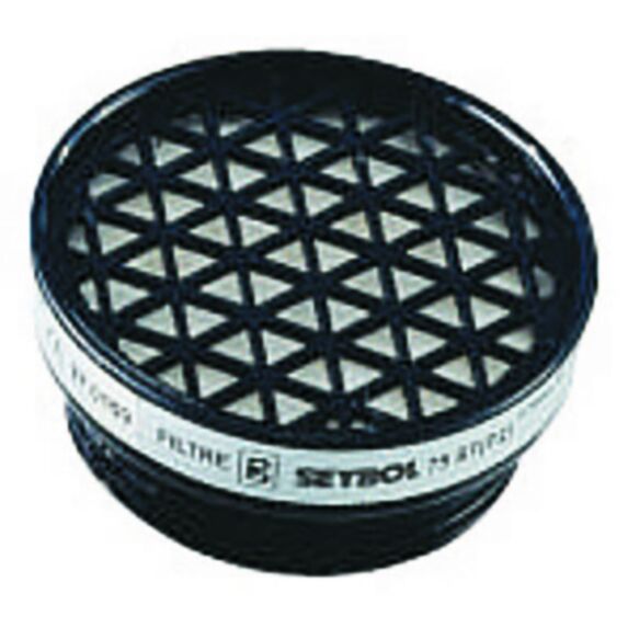 Lot de 2 filtres pour masque P2 - GERIN