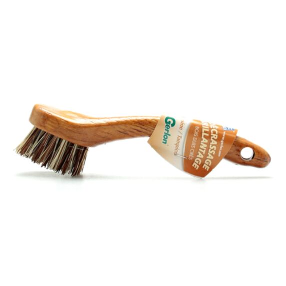 brosse circulaire bassine tampico