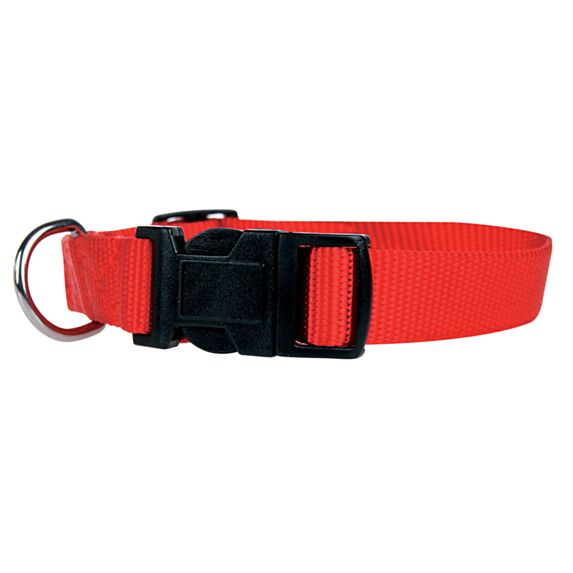 COLLIER NYLON 25/35 CM ROUGE
