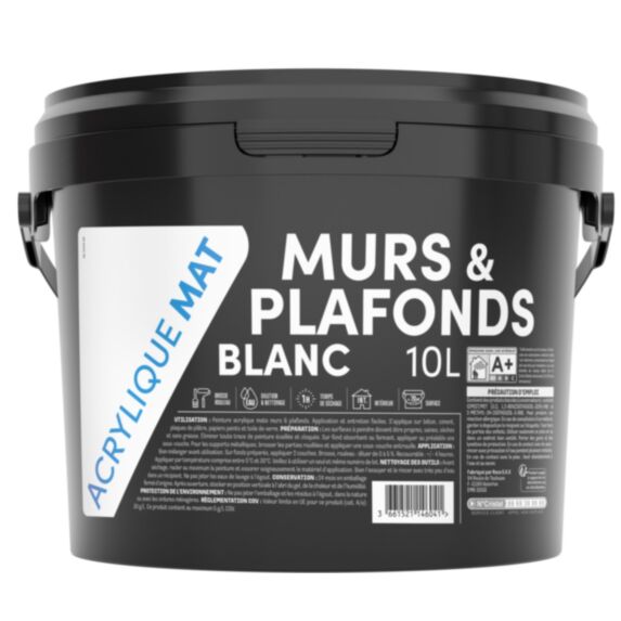 Peinture TDP acrylique murs et plafonds blanc mat 10 L - RECA