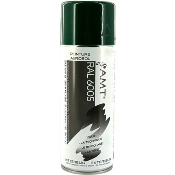 Peinture aérosol RAL vert boîte aux lettres brillant 330 mL - AMT