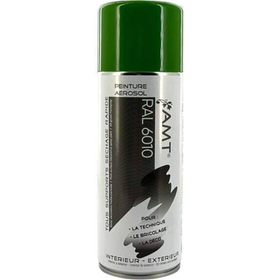Peinture aérosol RAL vert ferme brillant 330 mL - AMT