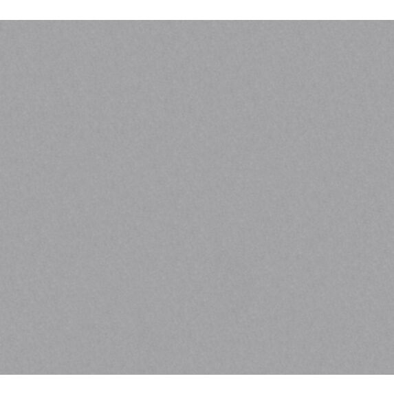 Papier Peint Vinyl Expansé Intissé Argent 5,3m² - AS CREATION