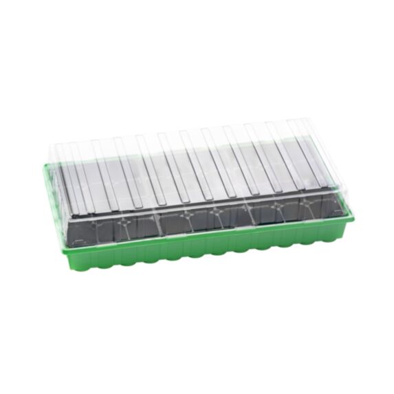 Mini-serre XL Plus 54 x 28 x 12 cm + 36 pots en plastique - ROMBERG