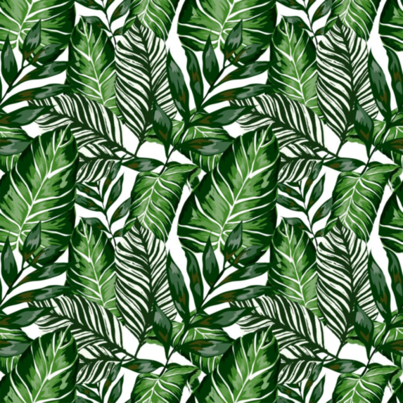 Film adhésif en rouleau Joy@fix Fantaisie House Plants 67,5 cm x 2 m