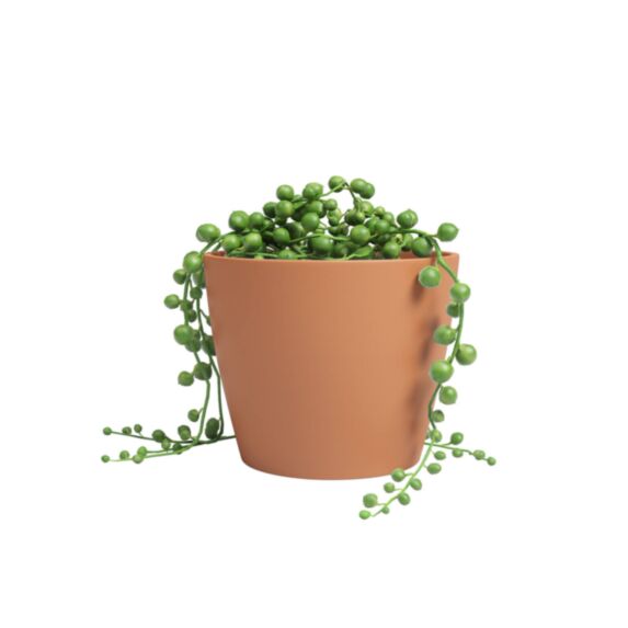 Cache-Pot Núbia Cactus Ø7cm Terre Cuite Clair - ARTEVASI