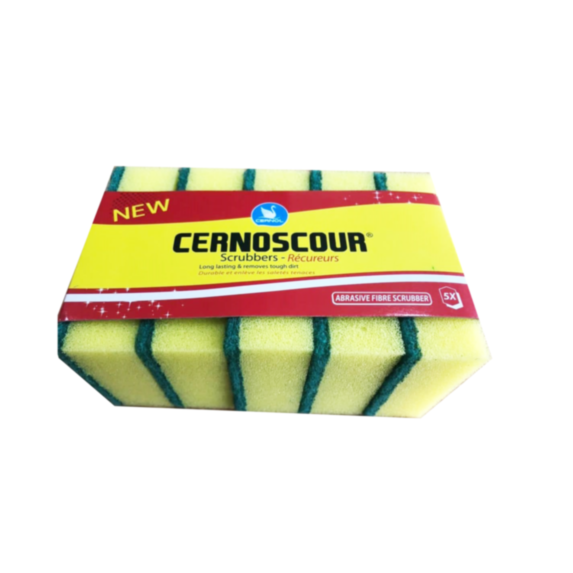 5 éponges ménagères grattoir - CERNOL