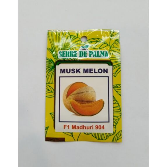 Graines de melon orange