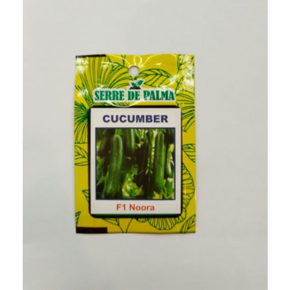 Graines de concombre vert Noora