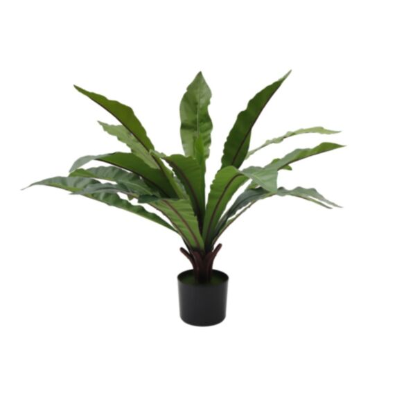 Plante artificielle Asplenium 70cm