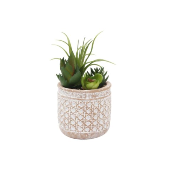 Plante artificielle succulente pot ciment D10x9cm H.19cm