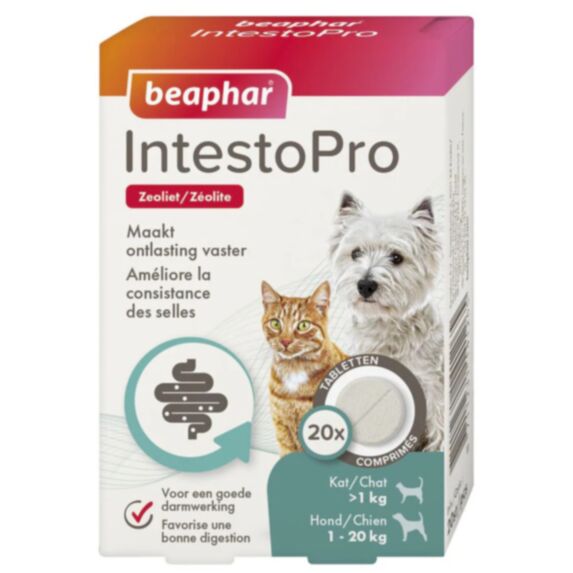 Comprimé Intestopro chien et chat x20 - BEAPHAR