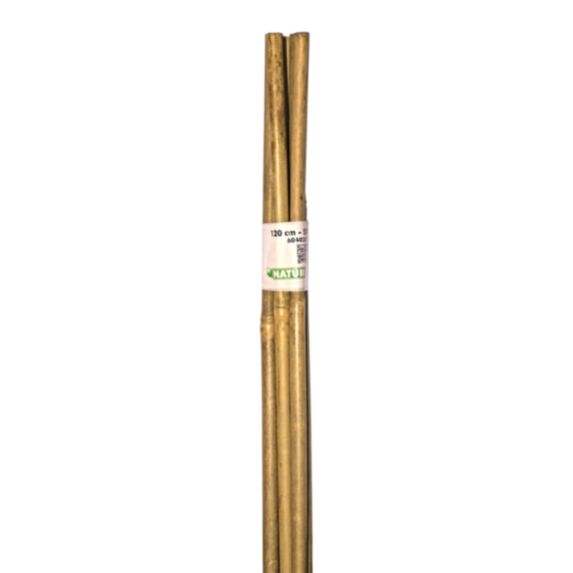 Tuteur bambou H120 cm Ø10-12 mm x5 - NATURE