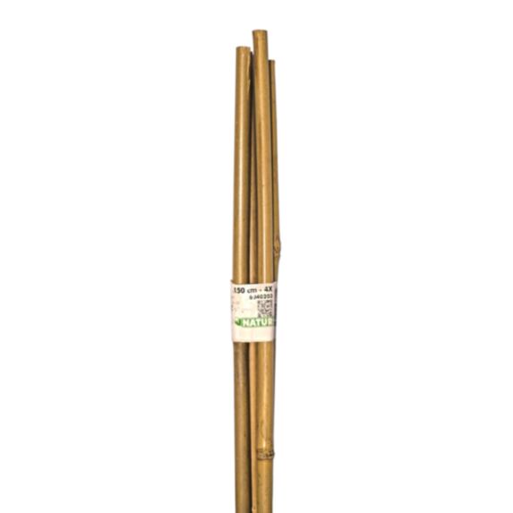 Tuteur bambou H150 cm Ø12-14 mm x4 - NATURE