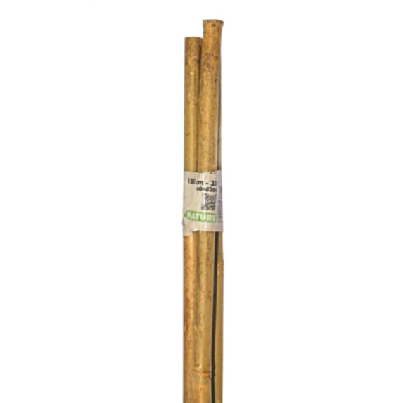 Tuteur bambou H180 cm Ø14-16 mm x3 - NATURE
