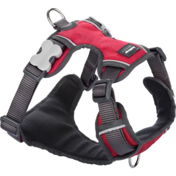 Harnais pour chien XS/S rembourré 12 mm rouge - RED DINGO