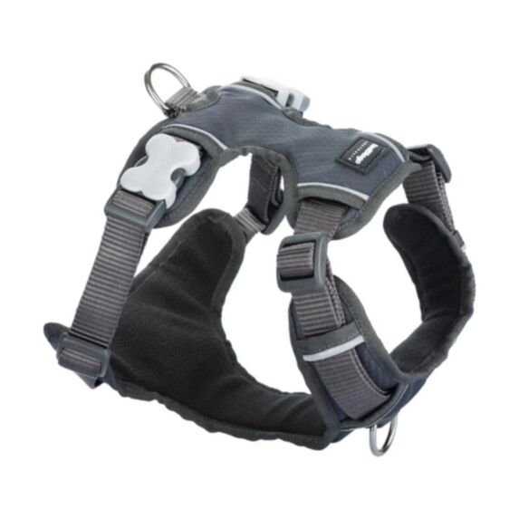 Harnais pour chien XS/S rembourré 12 mm anthracite - RED DINGO