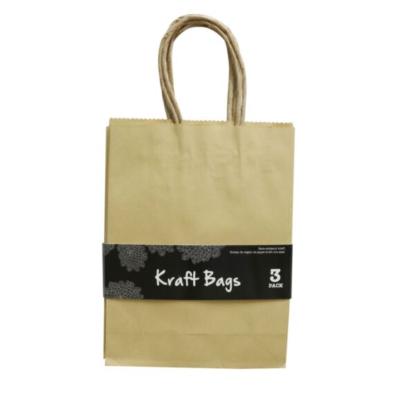 3 sacs kraft 20 x 15 x 6 cm - UBL