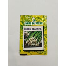 Graines d'oignon blanc