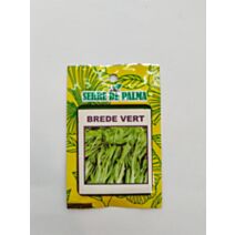 Graines de brede de chine