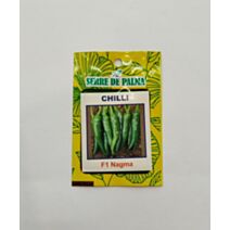 Graine de gros piment vert