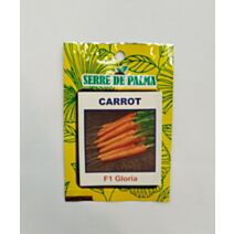 Graines de carotte