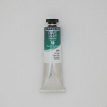 Rive Gauche Vert Sapin 40ml