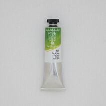 Rive Gauche Vert de Vessie 40ml