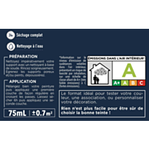 Testeur peinture Rénovation Multisupport gris galet satin 75 ml - V33