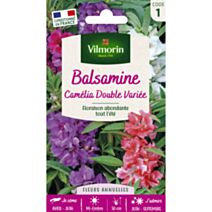 Graines Balsamine Camélia Double Variée - VILMORIN