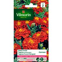 Graines Œillet d'Inde Carmen - VILMORIN