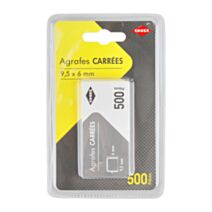 500 agrafes carrées 6mm - COGEX