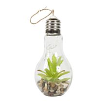 Plante artificielle ampoule verre Ø10xH21cm - OSTARIA