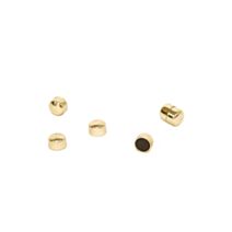 Lot de 20 plots magnétiques dorés 10 mm - BRIO