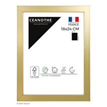 Cadre photo Precious doré 18x24cm - CEANOTHE