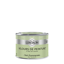 Peinture multisupport velours vert pommeraie 125ml - LIBERON