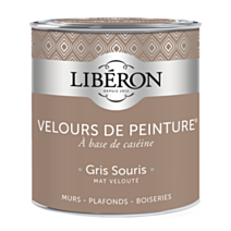Peinture multisupport velours gris souris 0,5L - LIBERON
