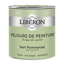 Peinture multisupport velours vert pommeraie 0,5L - LIBERON