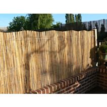 Canisse roseaux fendus 1x3m - NATURE