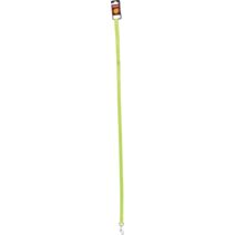 Laisse nylon 1 m x 10 mm anis - ZOLUX