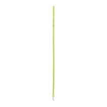 Laisse nylon 1 m x 25 mm anis - ZOLUX
