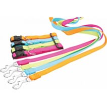 Laisse nylon XL 60 cm anis - ZOLUX